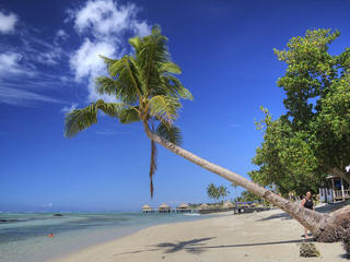 Samoa tropical beach